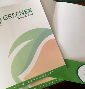 Carpetas Corporativas Greenex