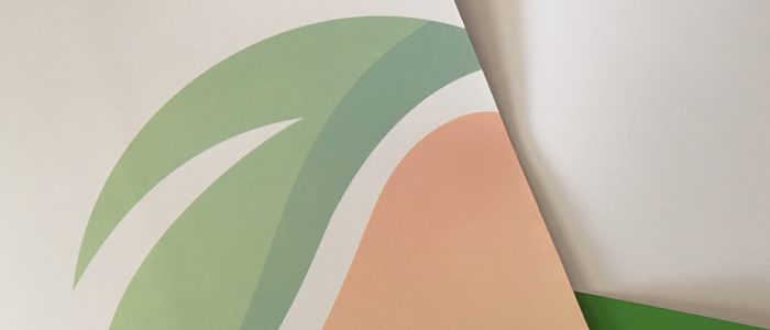 Carpetas corporativas impresas greenex