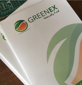 Carpetas Corporativas Greenex