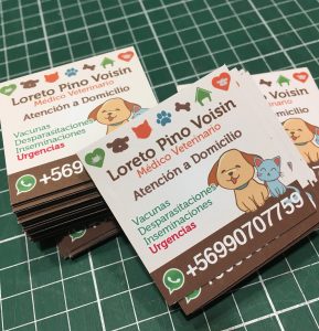Magnéticos Veterinaria Lotero Pino Voisin