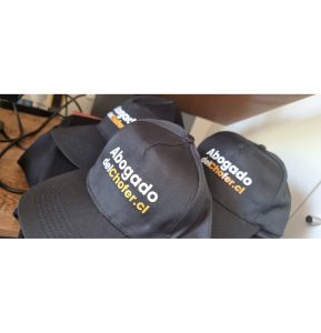 Jockeys Estampados, Abogado del Chofer - Concepción